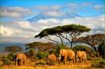 Поездка в Танзанию в феврале фото