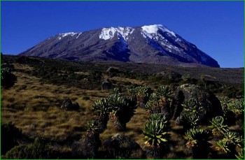 Килиманджаро в феврале - Танзания фото