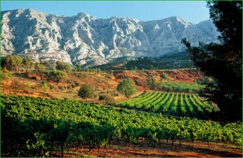 Путешествие в Прованс -виноградники на юг Франции фото