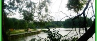 Сафари-парк "Подосинки" откроют в Московской области
