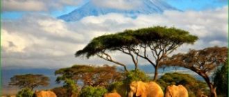 Танзания - путешествие в феврале по Восточной Африке
