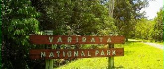 Варирата - Папуа-Новая Гвинея