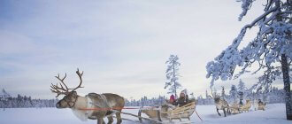 В Финляндию на Рождество с детьми